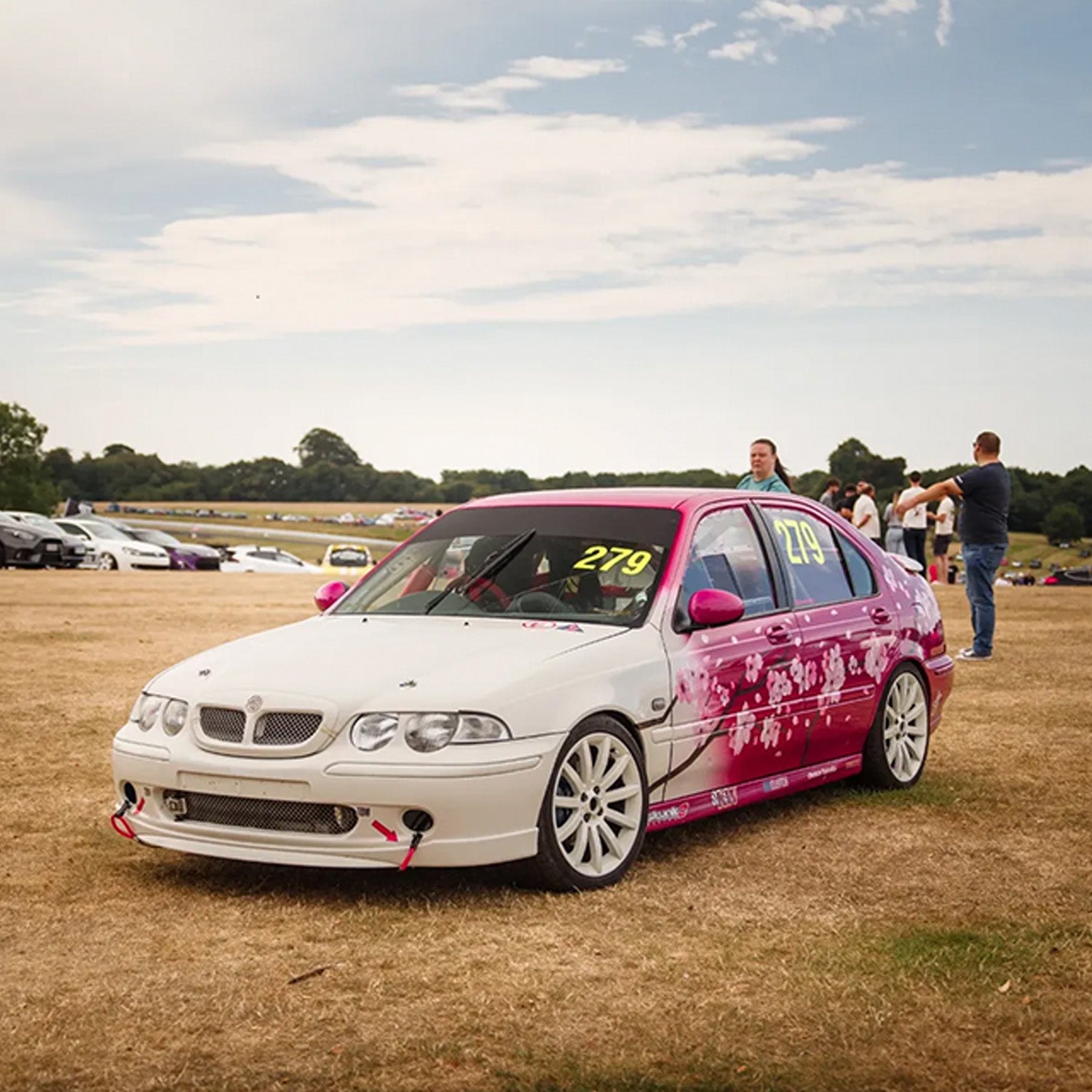 White and pink car with cherry blossom livery on a grassy field