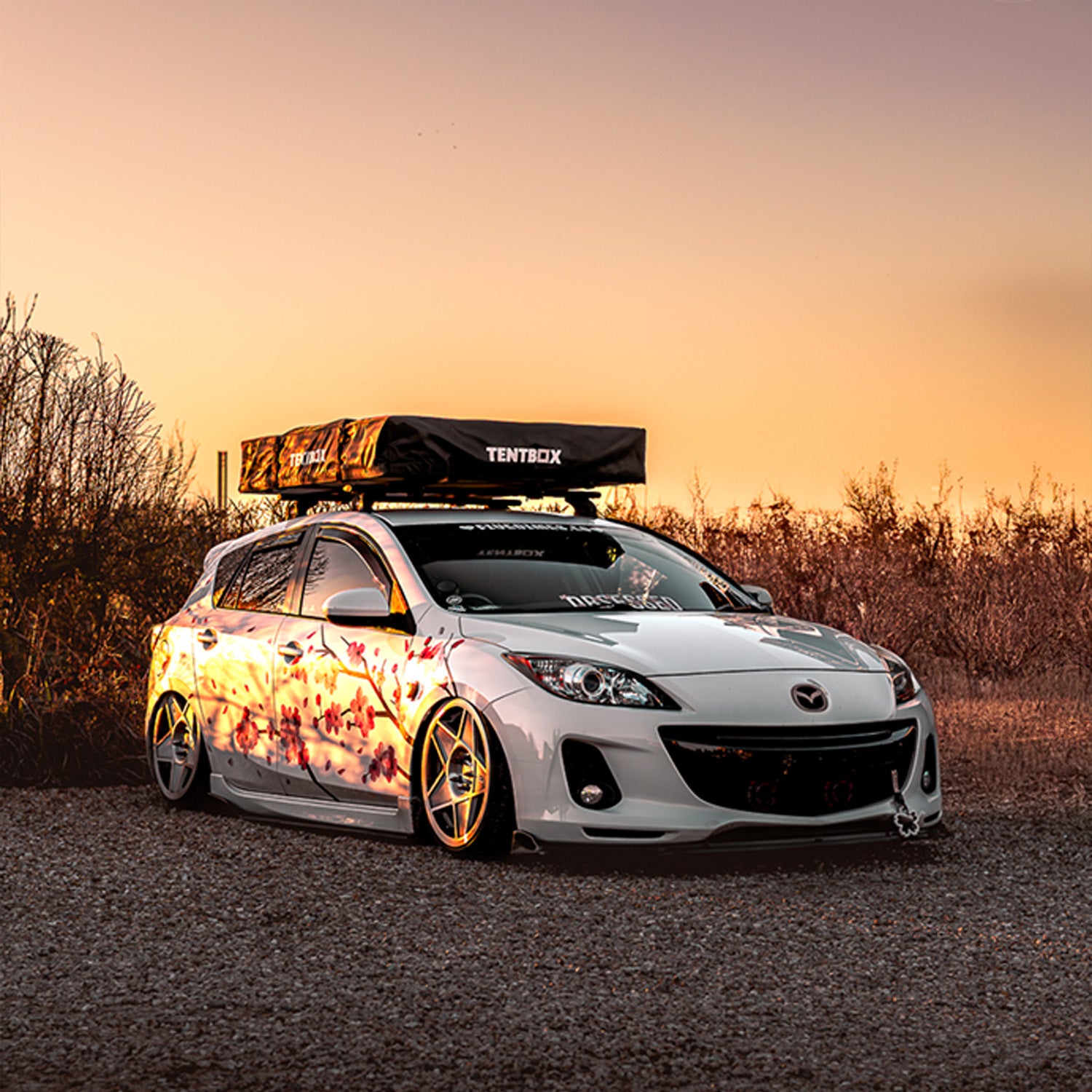 White car with Blossom livery and rooftop tent in a field at sunset