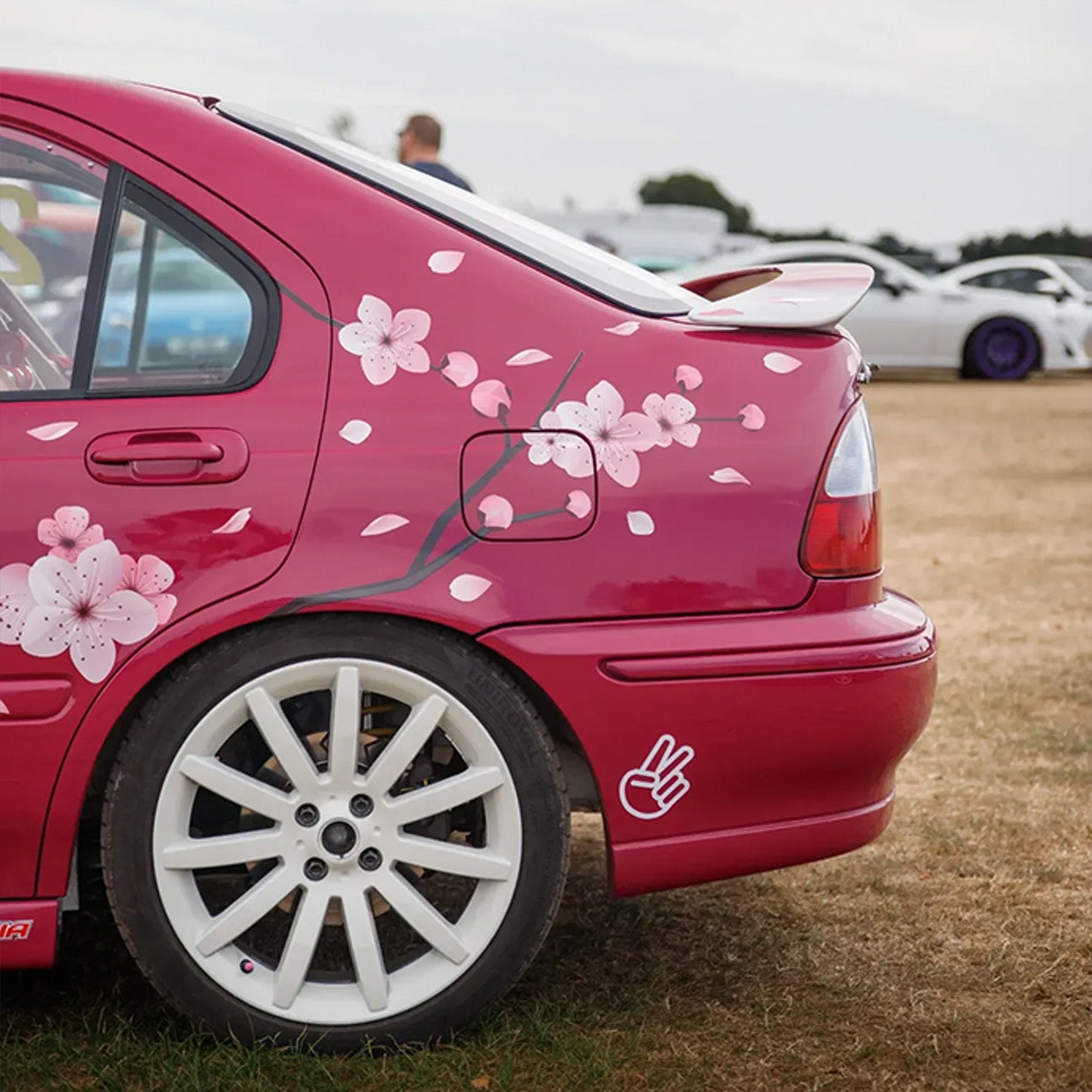 Pink car with cherry blossom decals on a grassy area