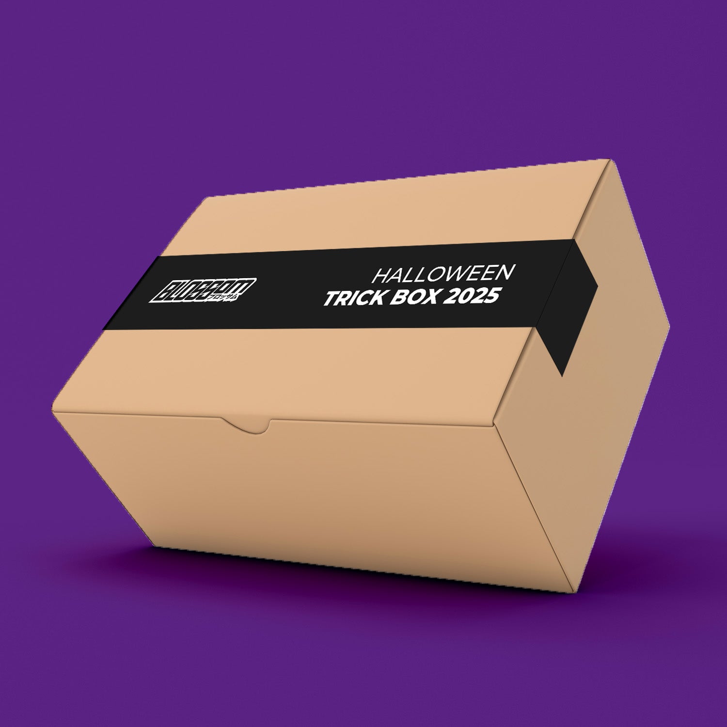 🎃 Halloween Trick Mystery Box - £60 Value