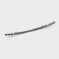 The Blossom Automotive "Blossom URL - Die Cut Sticker" features www.blossomautomotive.com in bold, black, slightly curved letters on a plain light gray background.